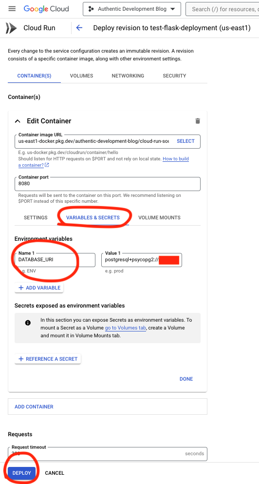 Cloud Run Database Environment Variable